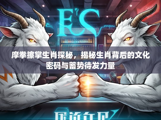 摩拳擦掌生肖探秘，揭秘生肖背后的文化密码与蓄势待发力量