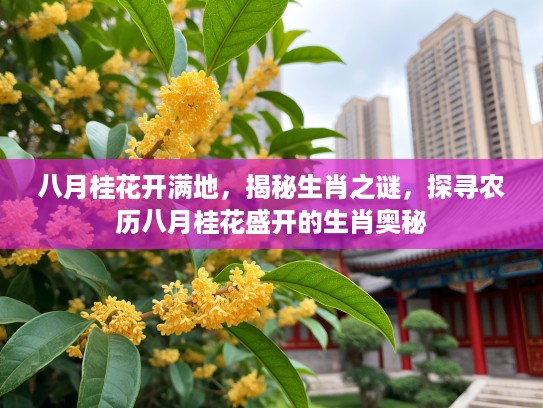 八月桂花开满地，揭秘生肖之谜，探寻农历八月桂花盛开的生肖奥秘