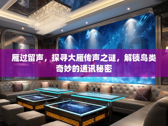 雁过留声，探寻大雁传声之谜，解锁鸟类奇妙的通讯秘密