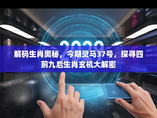 解码生肖奥秘，今期灵马37号，探寻四前九后生肖玄机大解密