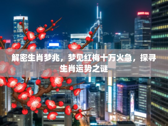 解密生肖梦兆，梦见红梅十万火急，探寻生肖运势之谜