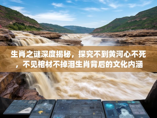生肖之谜深度揭秘，探究不到黄河心不死，不见棺材不掉泪生肖背后的文化内涵