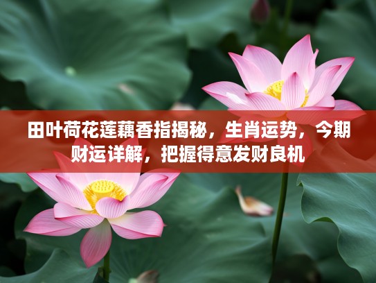 田叶荷花莲藕香指揭秘，生肖运势，今期财运详解，把握得意发财良机