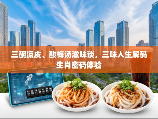三碗凉皮、酸梅汤滋味谈，三味人生解码生肖密码体验