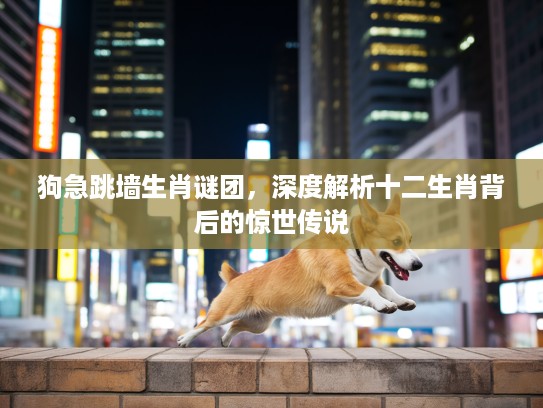 狗急跳墙生肖谜团，深度解析十二生肖背后的惊世传说