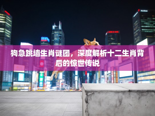 狗急跳墙生肖谜团，深度解析十二生肖背后的惊世传说
