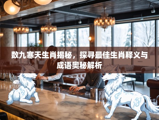 数九寒天生肖揭秘，探寻最佳生肖释义与成语奥秘解析