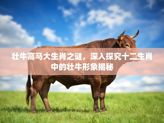 壮牛高马大生肖之谜，深入探究十二生肖中的壮牛形象揭秘