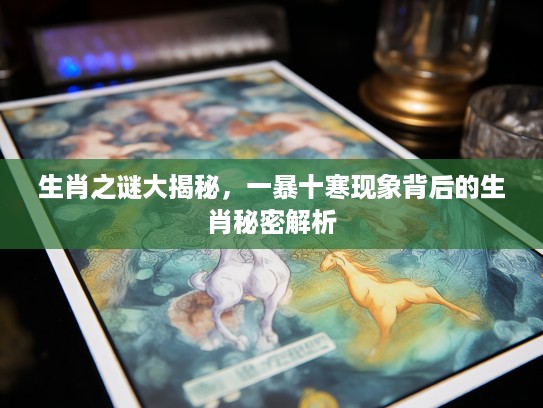 生肖之谜大揭秘，一暴十寒现象背后的生肖秘密解析