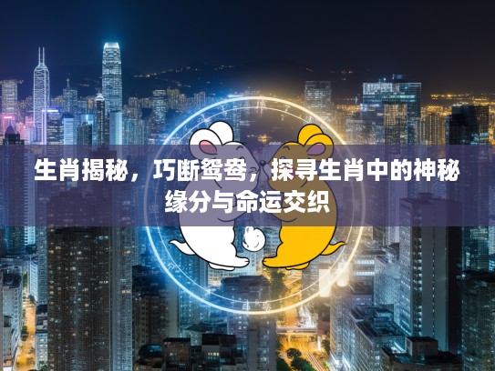 生肖揭秘，巧断鸳鸯，探寻生肖中的神秘缘分与命运交织