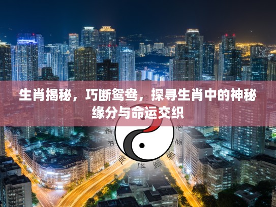 生肖揭秘，巧断鸳鸯，探寻生肖中的神秘缘分与命运交织