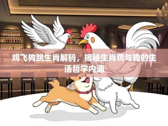 鸡飞狗跳生肖解码，揭秘生肖鸡与狗的生活哲学内涵
