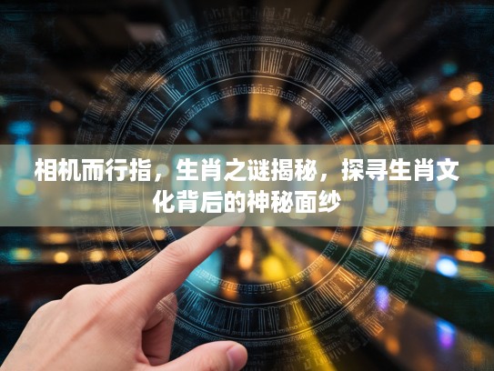 相机而行指，生肖之谜揭秘，探寻生肖文化背后的神秘面纱