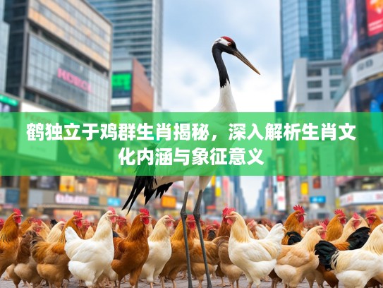 鹤独立于鸡群生肖揭秘，深入解析生肖文化内涵与象征意义