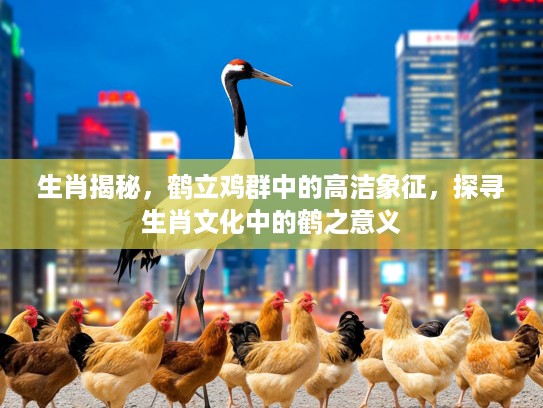 生肖揭秘，鹤立鸡群中的高洁象征，探寻生肖文化中的鹤之意义