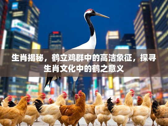 生肖揭秘，鹤立鸡群中的高洁象征，探寻生肖文化中的鹤之意义