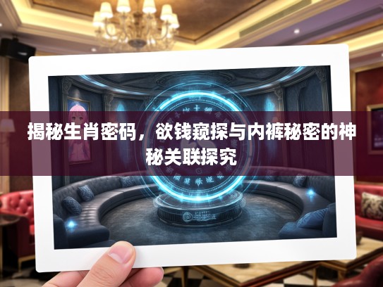 揭秘生肖密码，欲钱窥探与内裤秘密的神秘关联探究