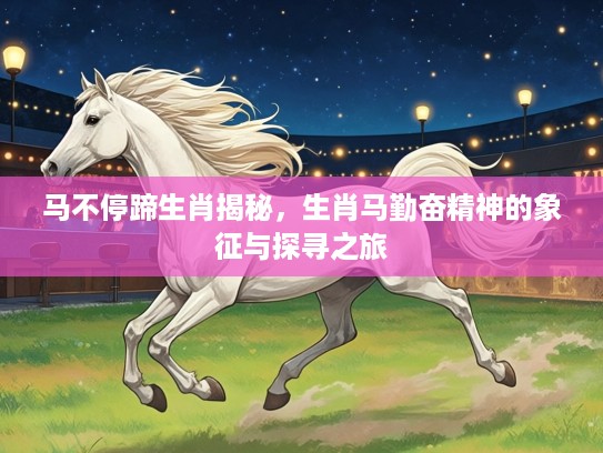马不停蹄生肖揭秘，生肖马勤奋精神的象征与探寻之旅