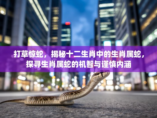 打草惊蛇，揭秘十二生肖中的生肖属蛇，探寻生肖属蛇的机智与谨慎内涵