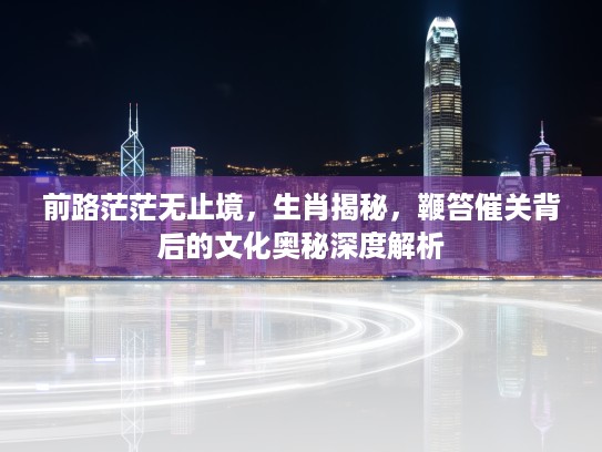 前路茫茫无止境，生肖揭秘，鞭笞催关背后的文化奥秘深度解析