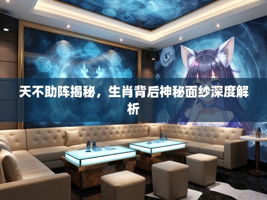 天不助阵揭秘，生肖背后神秘面纱深度解析