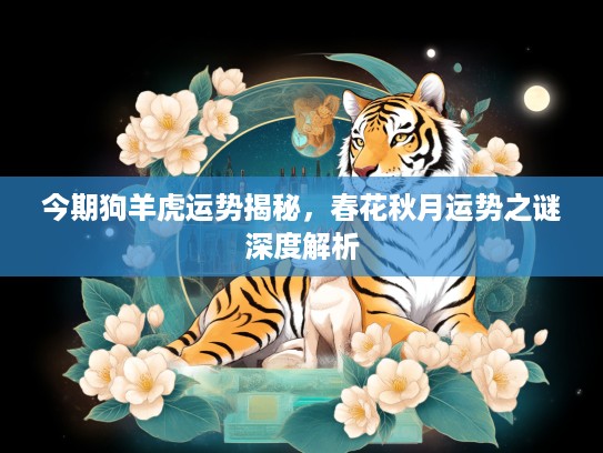 今期狗羊虎运势揭秘，春花秋月运势之谜深度解析