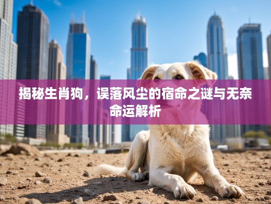 揭秘生肖狗，误落风尘的宿命之谜与无奈命运解析