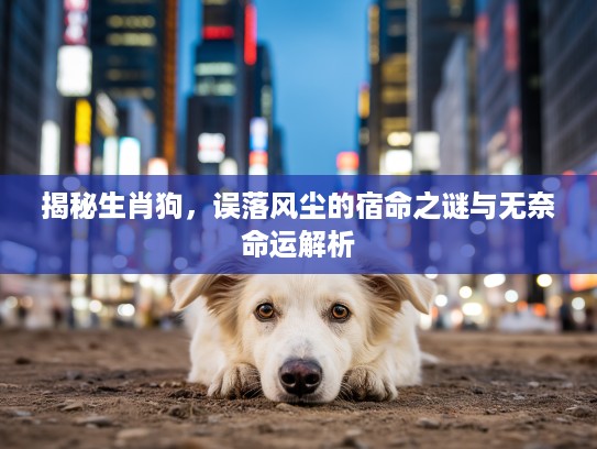 揭秘生肖狗，误落风尘的宿命之谜与无奈命运解析