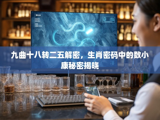 九曲十八转二五解密，生肖密码中的数小康秘密揭晓