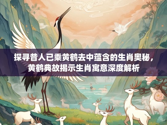 探寻昔人已乘黄鹤去中蕴含的生肖奥秘，黄鹤典故揭示生肖寓意深度解析