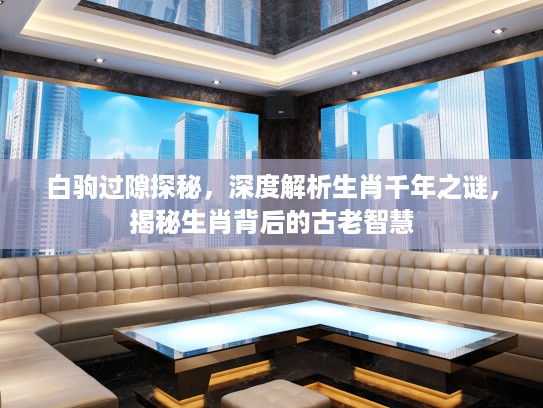 白驹过隙探秘，深度解析生肖千年之谜，揭秘生肖背后的古老智慧