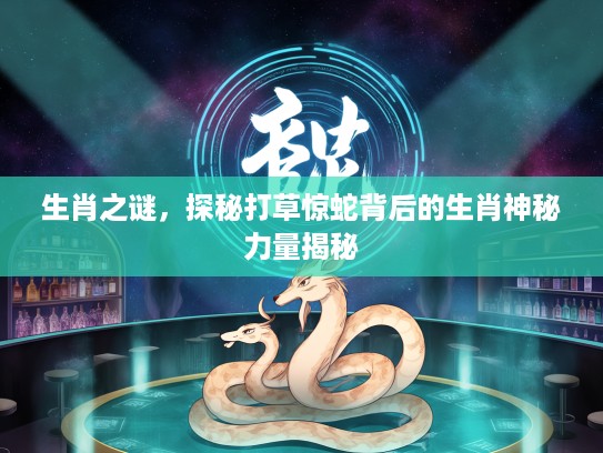 生肖之谜，探秘打草惊蛇背后的生肖神秘力量揭秘