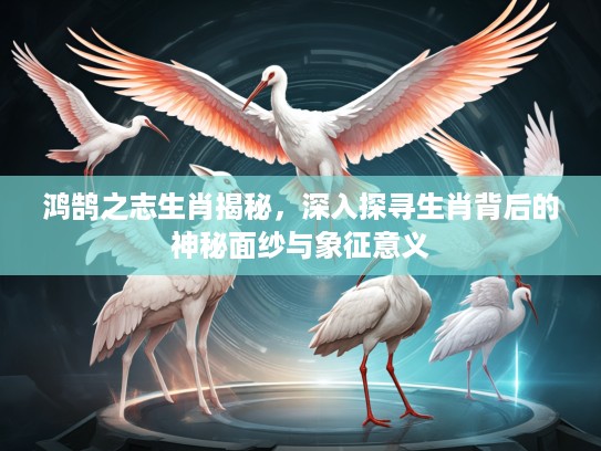 鸿鹄之志生肖揭秘，深入探寻生肖背后的神秘面纱与象征意义