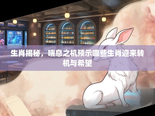 生肖揭秘，喘息之机预示哪些生肖迎来转机与希望