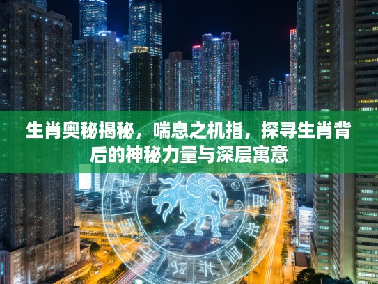 生肖奥秘揭秘，喘息之机指，探寻生肖背后的神秘力量与深层寓意