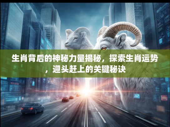 生肖背后的神秘力量揭秘，探索生肖运势，迎头赶上的关键秘诀