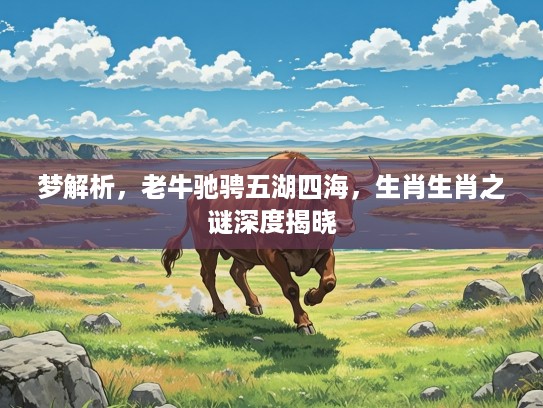 梦解析，老牛驰骋五湖四海，生肖生肖之谜深度揭晓