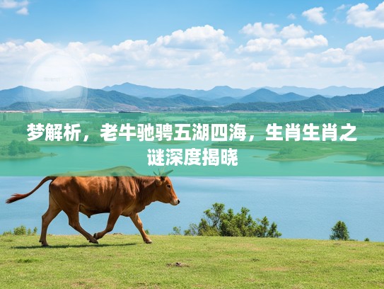 梦解析，老牛驰骋五湖四海，生肖生肖之谜深度揭晓