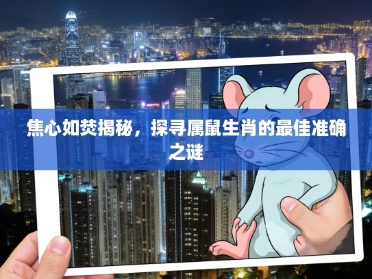 焦心如焚揭秘，探寻属鼠生肖的最佳准确之谜