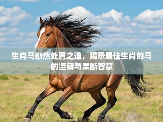 生肖马断然处置之道，揭示最佳生肖的马的坚韧与果断智慧