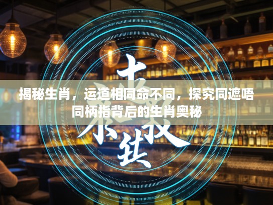 揭秘生肖，运道相同命不同，探究同遮唔同柄指背后的生肖奥秘