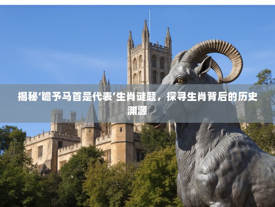 揭秘‘瞻予马首是代表’生肖谜题，探寻生肖背后的历史渊源