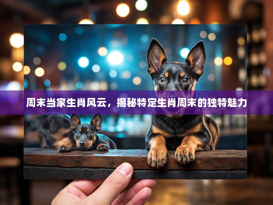 周末当家生肖风云，揭秘特定生肖周末的独特魅力