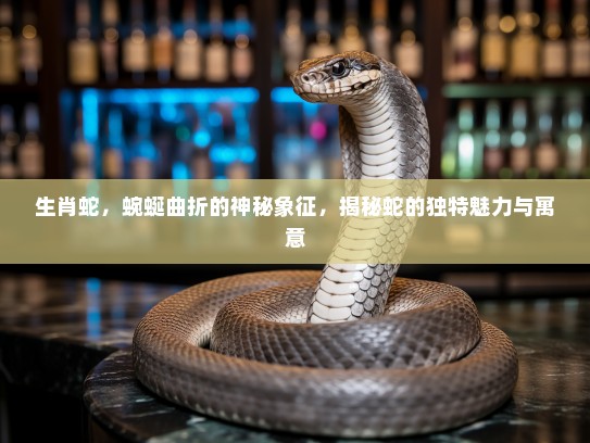 生肖蛇，蜿蜒曲折的神秘象征，揭秘蛇的独特魅力与寓意
