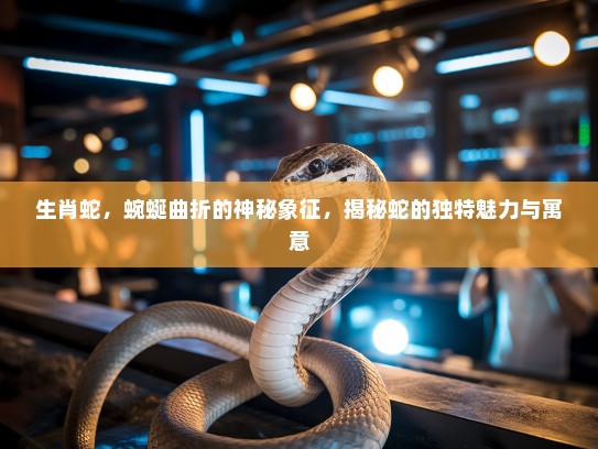 生肖蛇，蜿蜒曲折的神秘象征，揭秘蛇的独特魅力与寓意