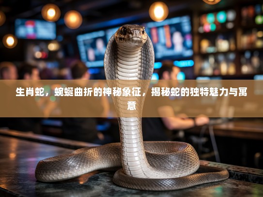 生肖蛇，蜿蜒曲折的神秘象征，揭秘蛇的独特魅力与寓意
