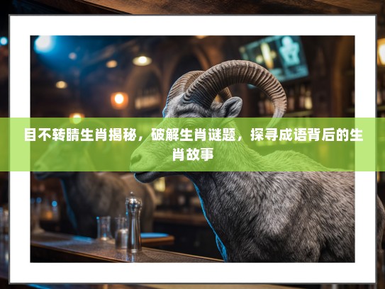 目不转睛生肖揭秘，破解生肖谜题，探寻成语背后的生肖故事