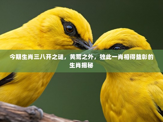 今期生肖三八开之谜，黄莺之外，独此一肖相得益彰的生肖揭秘