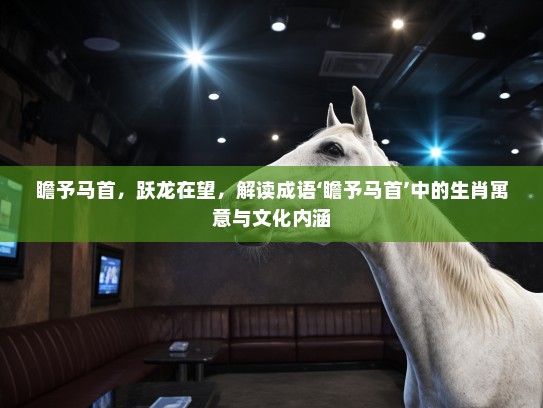 瞻予马首，跃龙在望，解读成语‘瞻予马首’中的生肖寓意与文化内涵