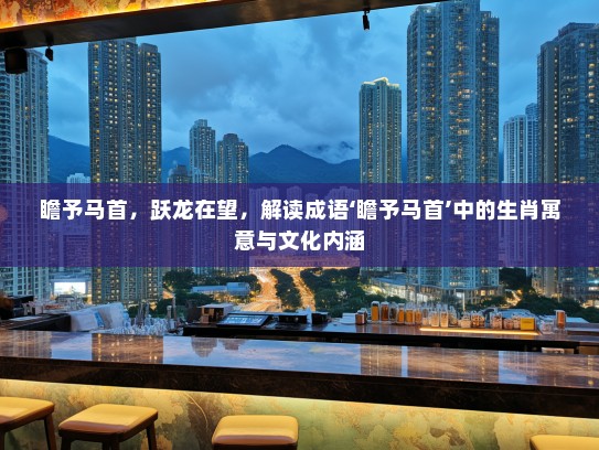 瞻予马首，跃龙在望，解读成语‘瞻予马首’中的生肖寓意与文化内涵